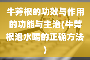 牛蒡根的功效与作用的功能与主治(牛蒡根泡水喝的正确方法)