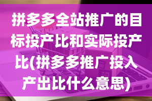 拼多多全站推广的目标投产比和实际投产比(拼多多推广投入产出比什么意思)