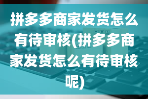 拼多多商家发货怎么有待审核(拼多多商家发货怎么有待审核呢)