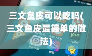 三文鱼皮可以吃吗(三文鱼皮最简单的做法)