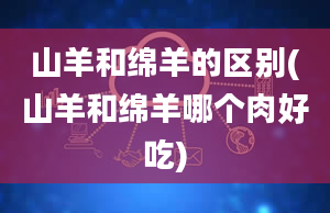 山羊和绵羊的区别(山羊和绵羊哪个肉好吃)