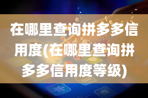 在哪里查询拼多多信用度(在哪里查询拼多多信用度等级)