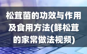 松茸菌的功效与作用及食用方法(鲜松茸的家常做法视频)