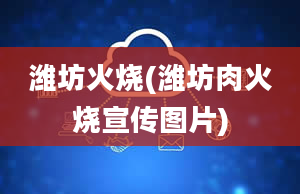 潍坊火烧(潍坊肉火烧宣传图片)