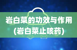 岩白菜的功效与作用(岩白菜止咳药)