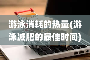 游泳消耗的热量(游泳减肥的最佳时间)