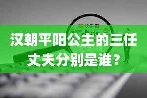 汉朝平阳公主的三任丈夫分别是谁？