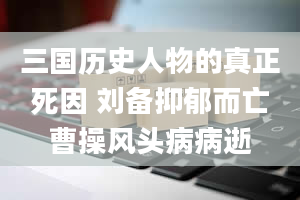 三国历史人物的真正死因 刘备抑郁而亡曹操风头病病逝