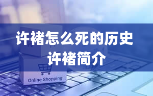 许褚怎么死的历史 许褚简介