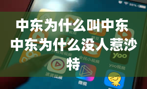 中东为什么叫中东 中东为什么没人惹沙特