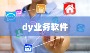 dy业务软件