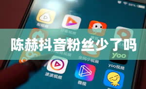 陈赫抖音粉丝少了吗