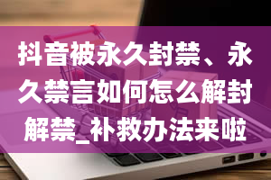 抖音被永久封禁、永久禁言如何怎么解封解禁_补救办法来啦