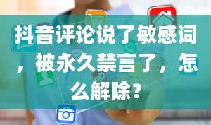 抖音评论说了敏感词，被永久禁言了，怎么解除？