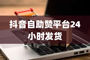 抖音自助赞平台24小时发货