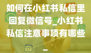 如何在小红书私信里回复微信号_小红书私信注意事项有哪些_