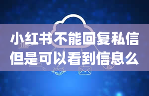 小红书不能回复私信但是可以看到信息么