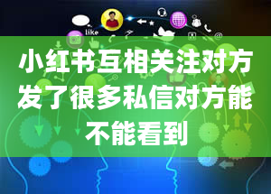 小红书互相关注对方发了很多私信对方能不能看到