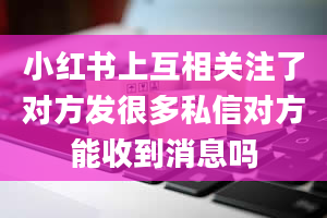 小红书上互相关注了对方发很多私信对方能收到消息吗