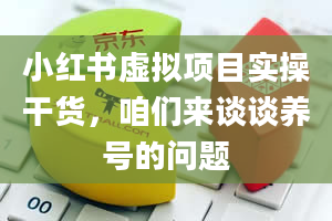 小红书虚拟项目实操干货，咱们来谈谈养号的问题