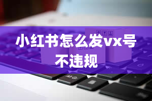 小红书怎么发vx号不违规