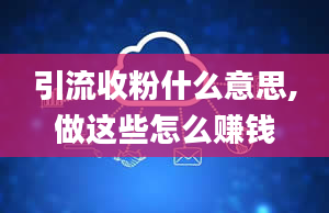 引流收粉什么意思,做这些怎么赚钱