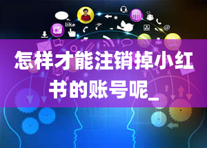 怎样才能注销掉小红书的账号呢_