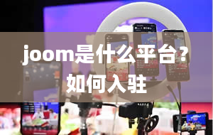 joom是什么平台？如何入驻