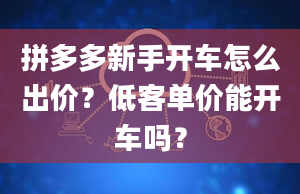 拼多多新手开车怎么出价？低客单价能开车吗？