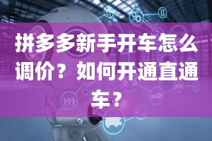 拼多多新手开车怎么调价？如何开通直通车？