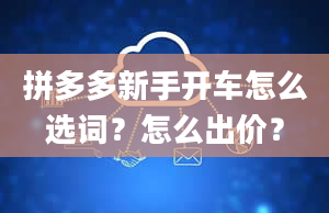 拼多多新手开车怎么选词？怎么出价？