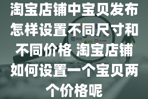 淘宝店铺中宝贝发布怎样设置不同尺寸和不同价格 淘宝店铺如何设置一个宝贝两个价格呢