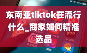 东南亚tiktok在流行什么_商家如何精准选品