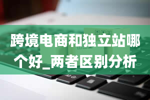 跨境电商和独立站哪个好_两者区别分析