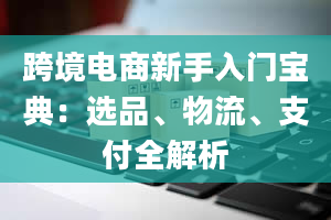 跨境电商新手入门宝典：选品、物流、支付全解析