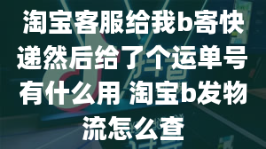 淘宝客服给我b寄快递然后给了个运单号有什么用 淘宝b发物流怎么查