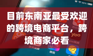 目前东南亚最受欢迎的跨境电商平台，跨境商家必看