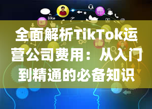 全面解析TikTok运营公司费用：从入门到精通的必备知识