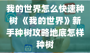 我的世界怎么快速种树 《我的世界》新手种树攻略地底怎样种树