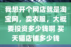 我想开个网店就是淘宝网，卖衣服，大概要投资多少钱啊 买天猫店铺多少钱