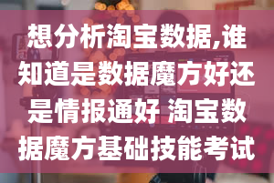 想分析淘宝数据,谁知道是数据魔方好还是情报通好 淘宝数据魔方基础技能考试