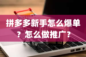 拼多多新手怎么爆单？怎么做推广？