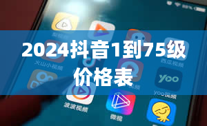 2024抖音1到75级价格表