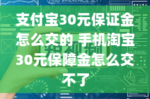 支付宝30元保证金怎么交的 手机淘宝30元保障金怎么交不了