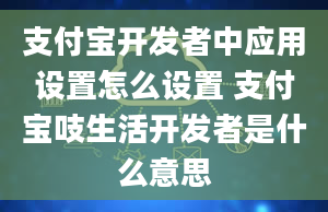 支付宝开发者中应用设置怎么设置 支付宝吱生活开发者是什么意思