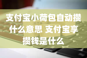 支付宝小荷包自动攒什么意思 支付宝享攒钱是什么