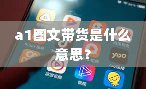 a1图文带货是什么意思？