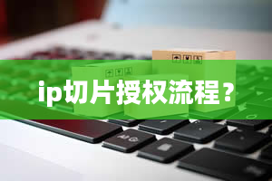 ip切片授权流程？