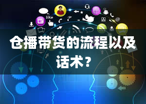 仓播带货的流程以及话术？