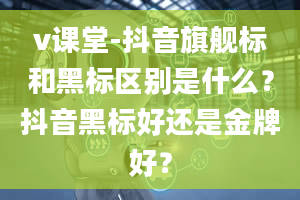 v课堂-抖音旗舰标和黑标区别是什么？抖音黑标好还是金牌好？